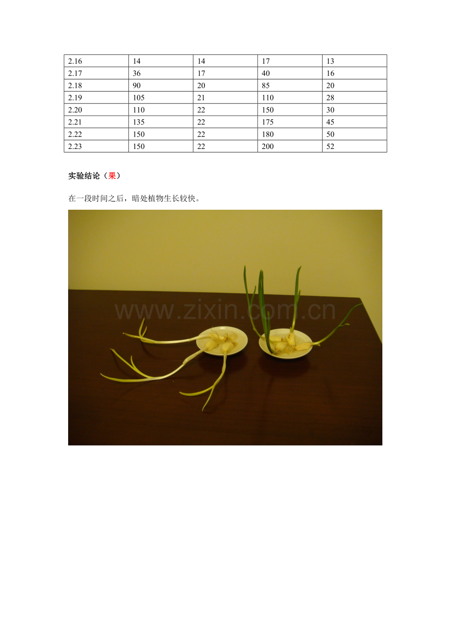 2022年实验报告光线对植物生长的影响已评.doc_第2页