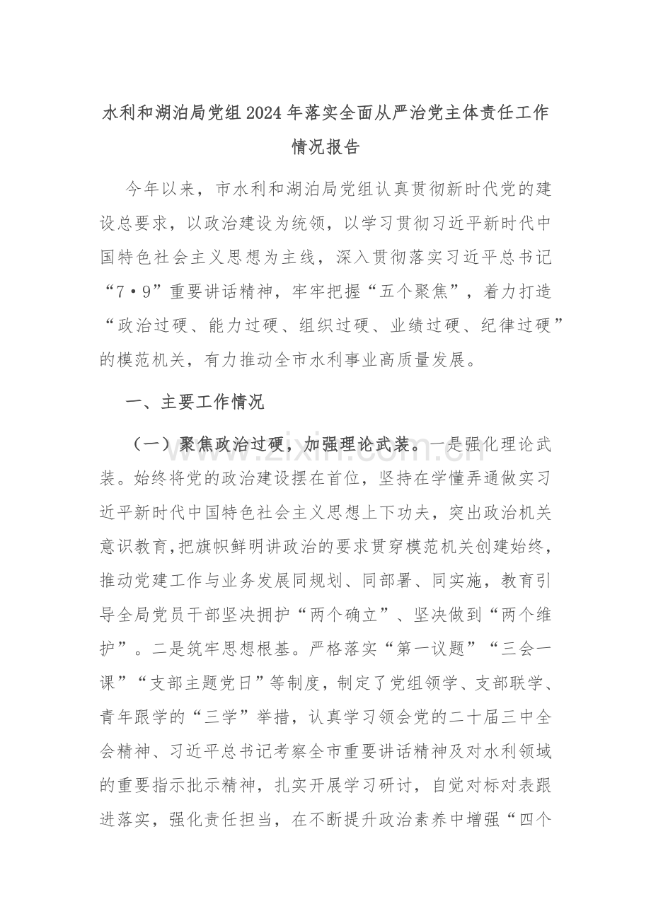 水利和湖泊局党组2024年落实全面从严治党主体责任工作情况报告.docx_第1页