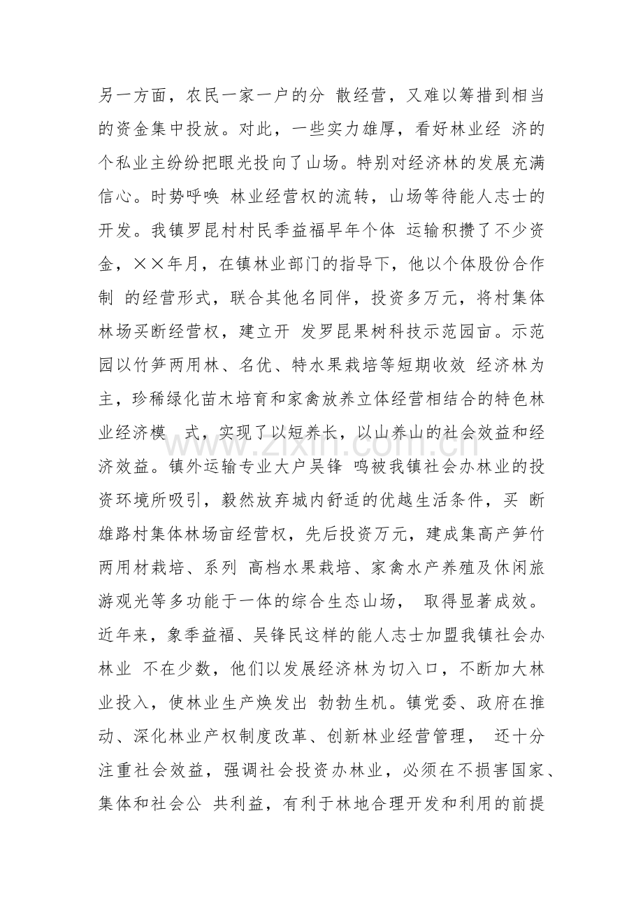 XX镇社会办林业经验介绍：打造林业发展平台推动绿镇富民进程.docx_第2页