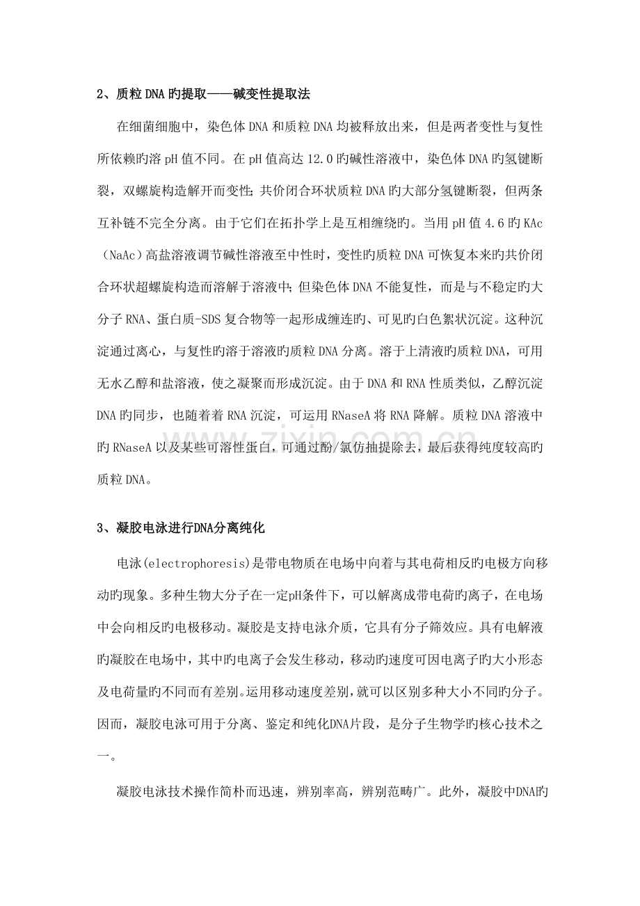 2022年生物学实验报告.doc_第2页