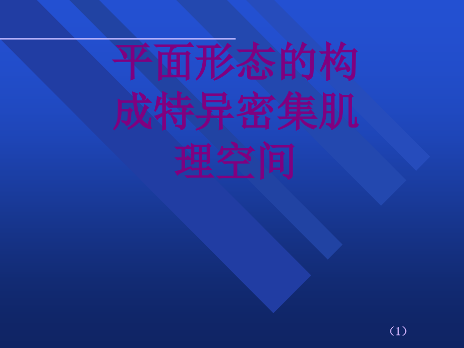 平面形态的构成特异密集肌理空间.ppt_第1页