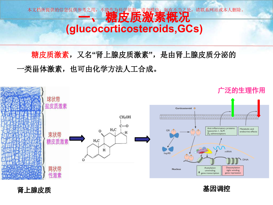 糖皮质激素及其临床应用培训.ppt_第1页