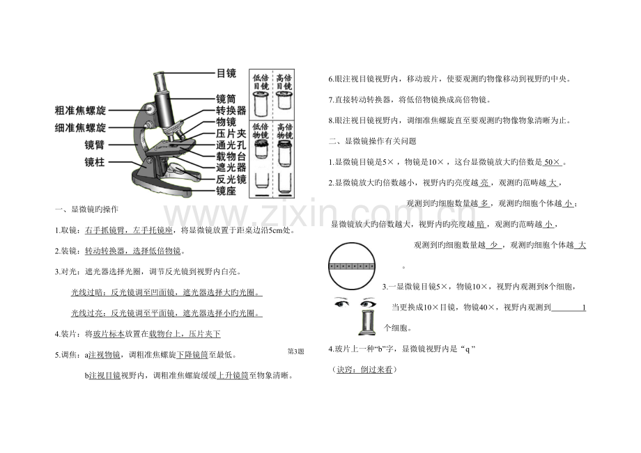 2022年苏教版七年级上册生物复习笔记.doc_第2页