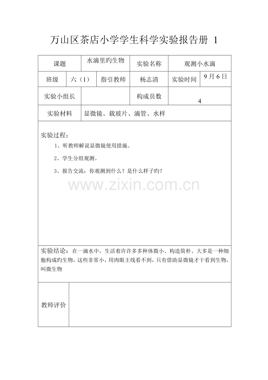 2022年六年级上册实验报告单.doc_第1页