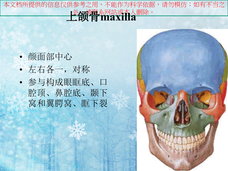 颌骨解剖和病变诊疗分析培训.ppt_第1页