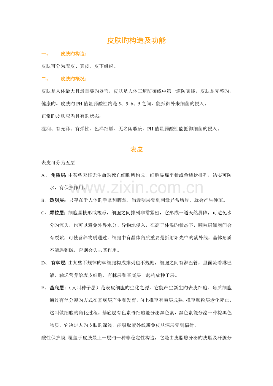2022年皮肤的构造及功能.doc_第1页