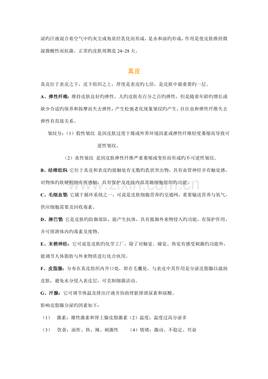 2022年皮肤的构造及功能.doc_第2页