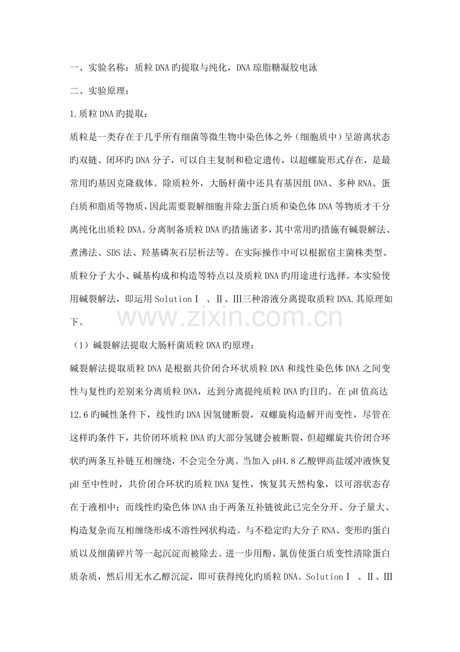 2022年质粒DNA的提取及其琼脂糖凝胶电泳实验报告.doc_第1页