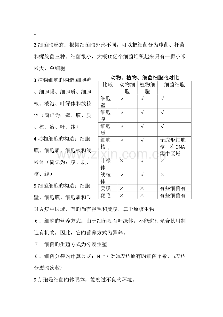 2022年人教版八年级生物上册知识点总结第五单元细菌和真菌.docx_第2页