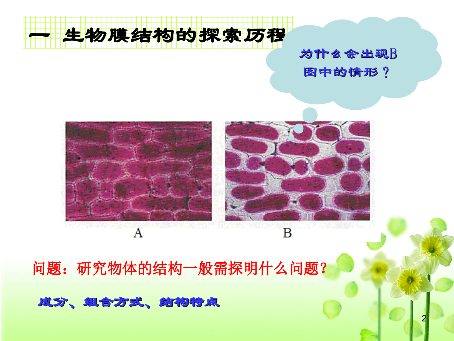 一生物膜结构的探索历程.ppt_第2页