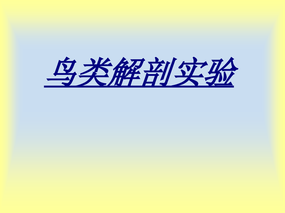 鸟类解剖实验.ppt_第1页