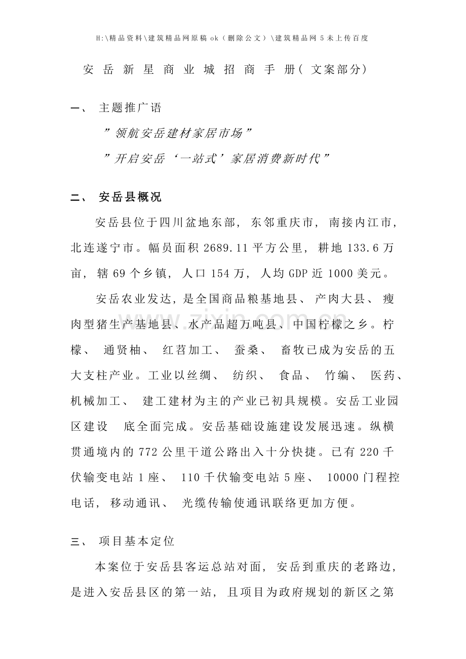 新星商业城招商手册.doc_第1页