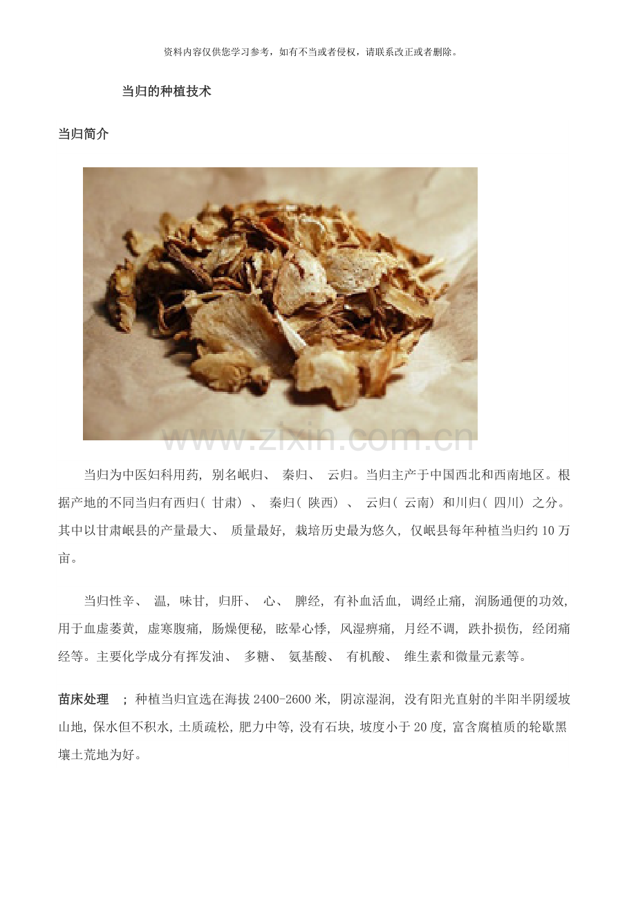 当归的种植技术样本.doc_第1页