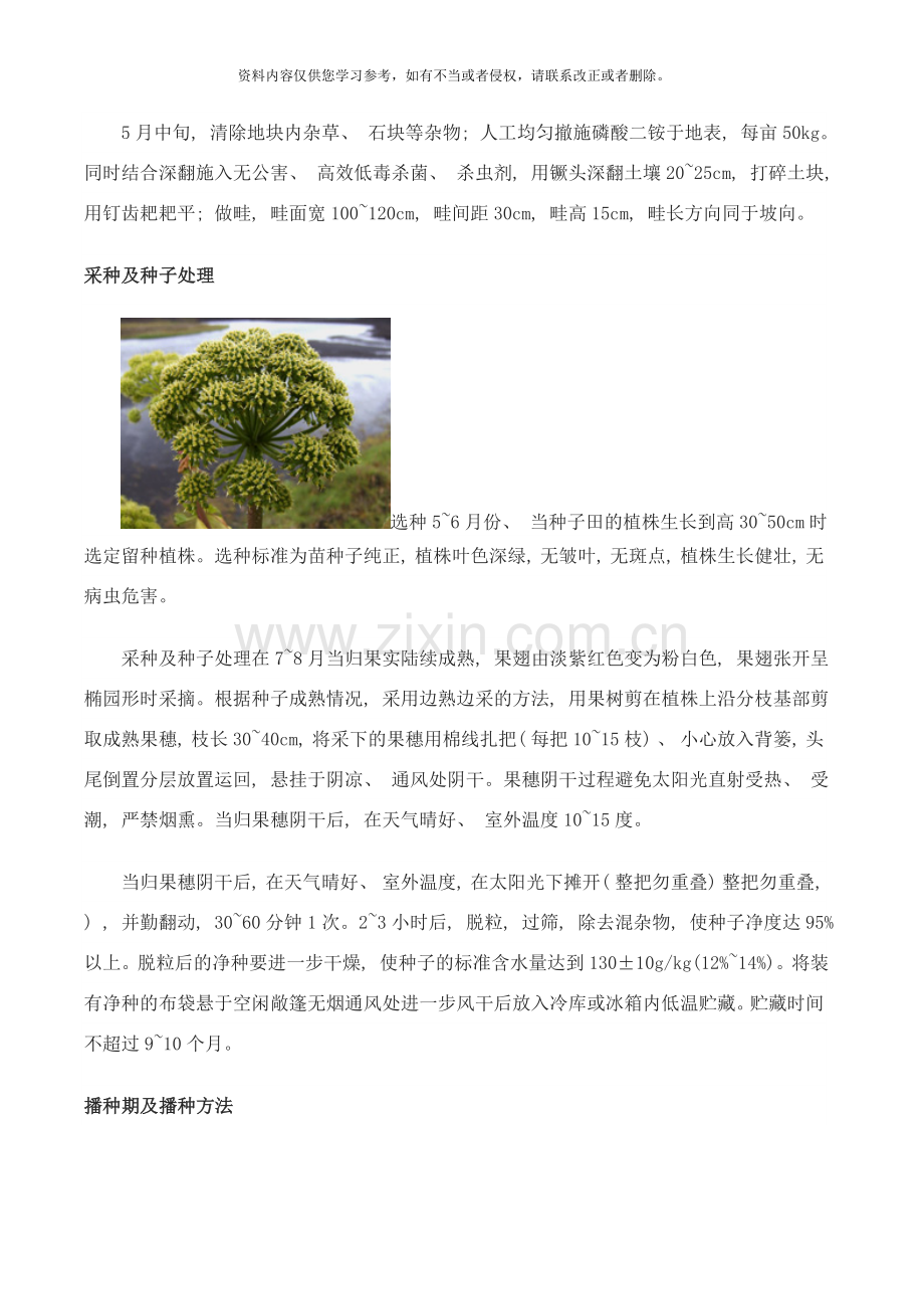 当归的种植技术样本.doc_第2页