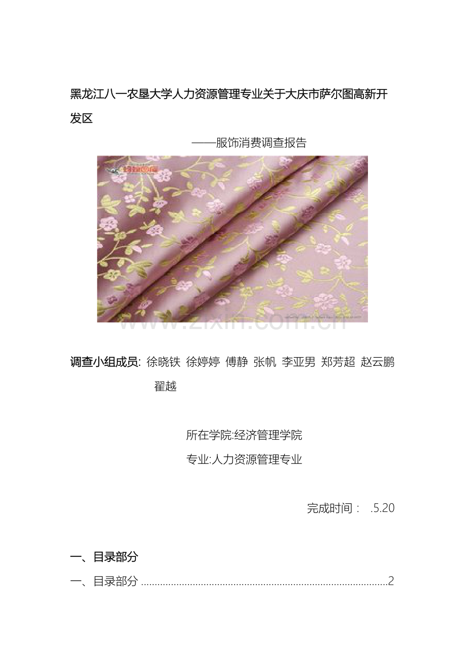 大庆市萨尔图区服装调查报告.doc_第2页