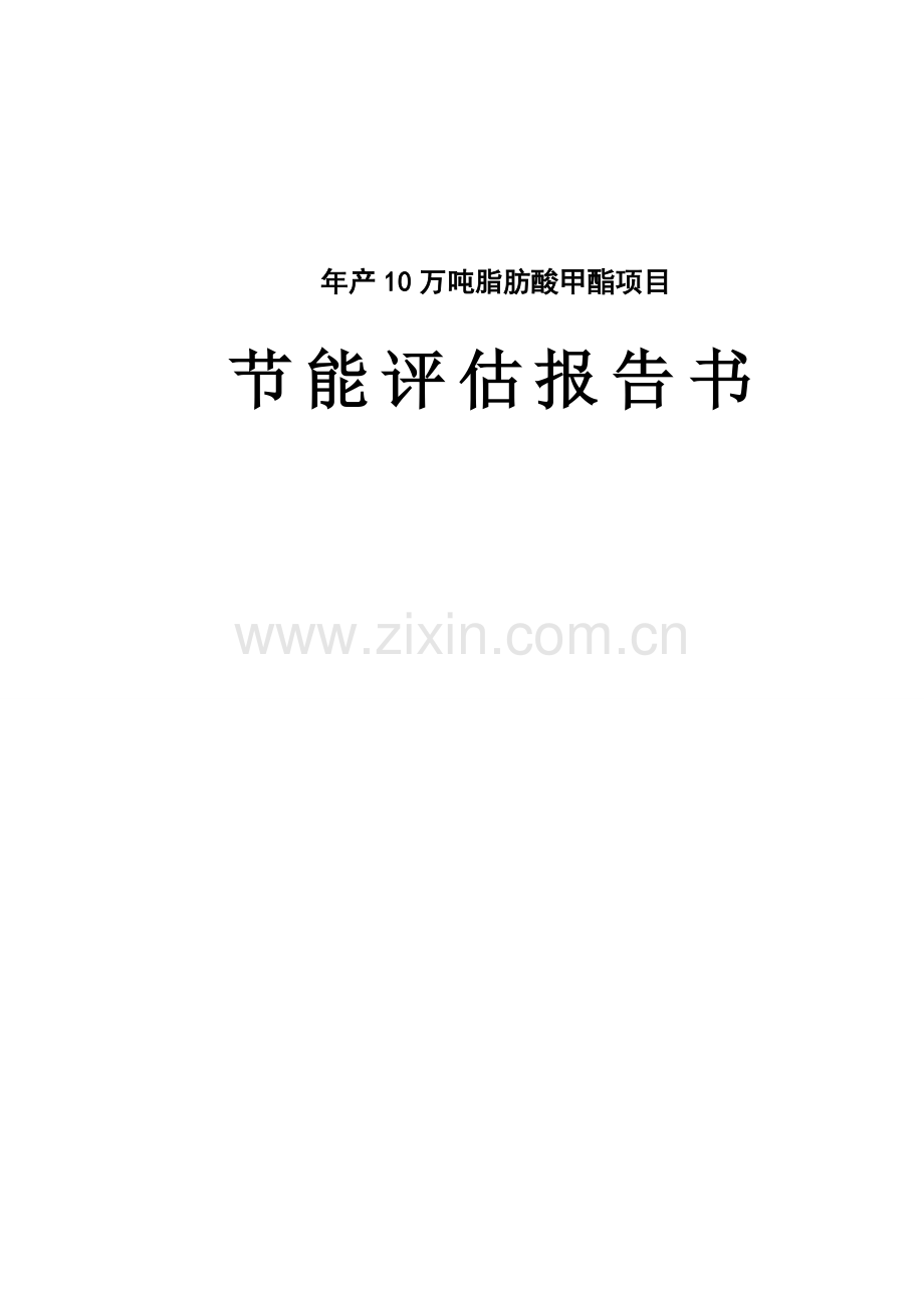 年产10万吨脂肪酸甲酯项目节能评估报告.doc_第1页