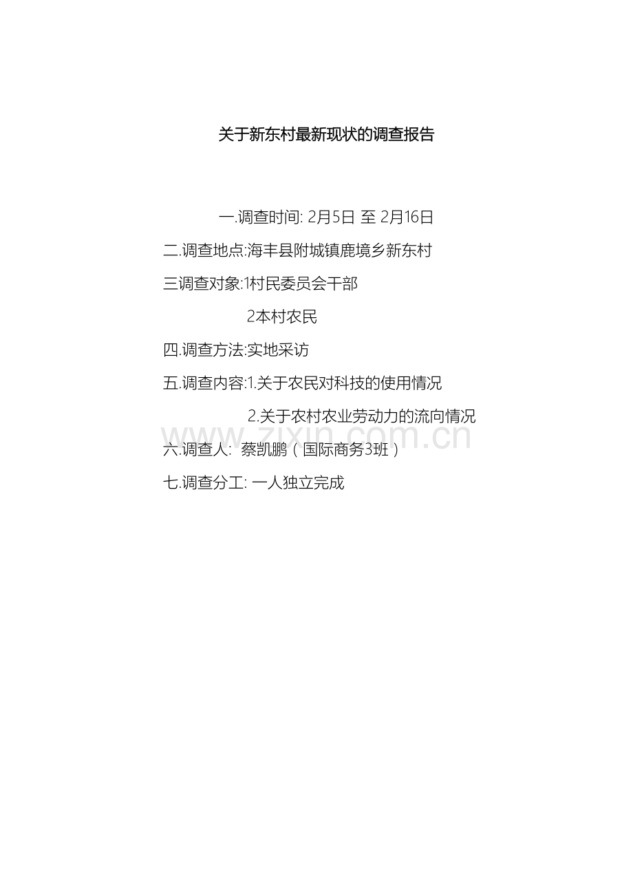 关于新东村现状的调查报告.doc_第2页
