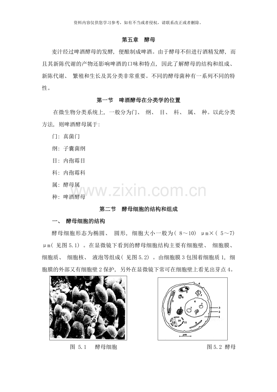 啤酒手册酵母样本.doc_第1页