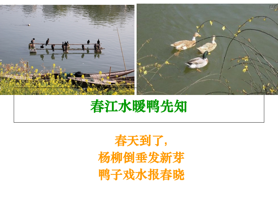 口语交际田园风光PowerPoint-演示文稿.ppt_第2页