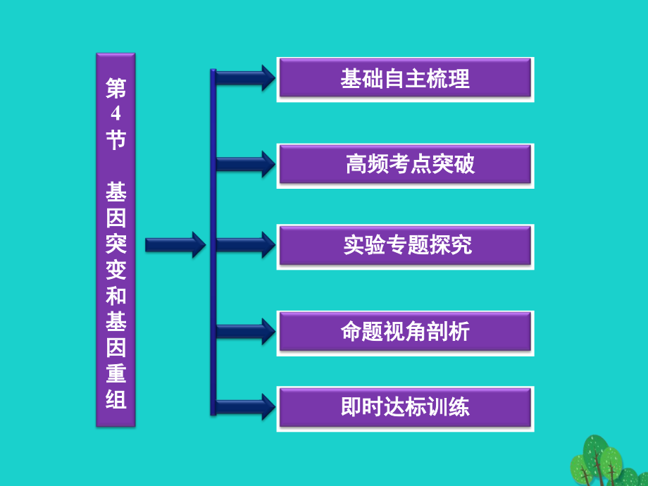 2019届江苏专用高考生物总复习第4章遗传的分子基础第4节基因突变和基因重组讲义苏教版必修.ppt_第2页