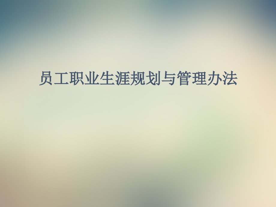 员工职业生涯规划与管理制度.ppt_第2页