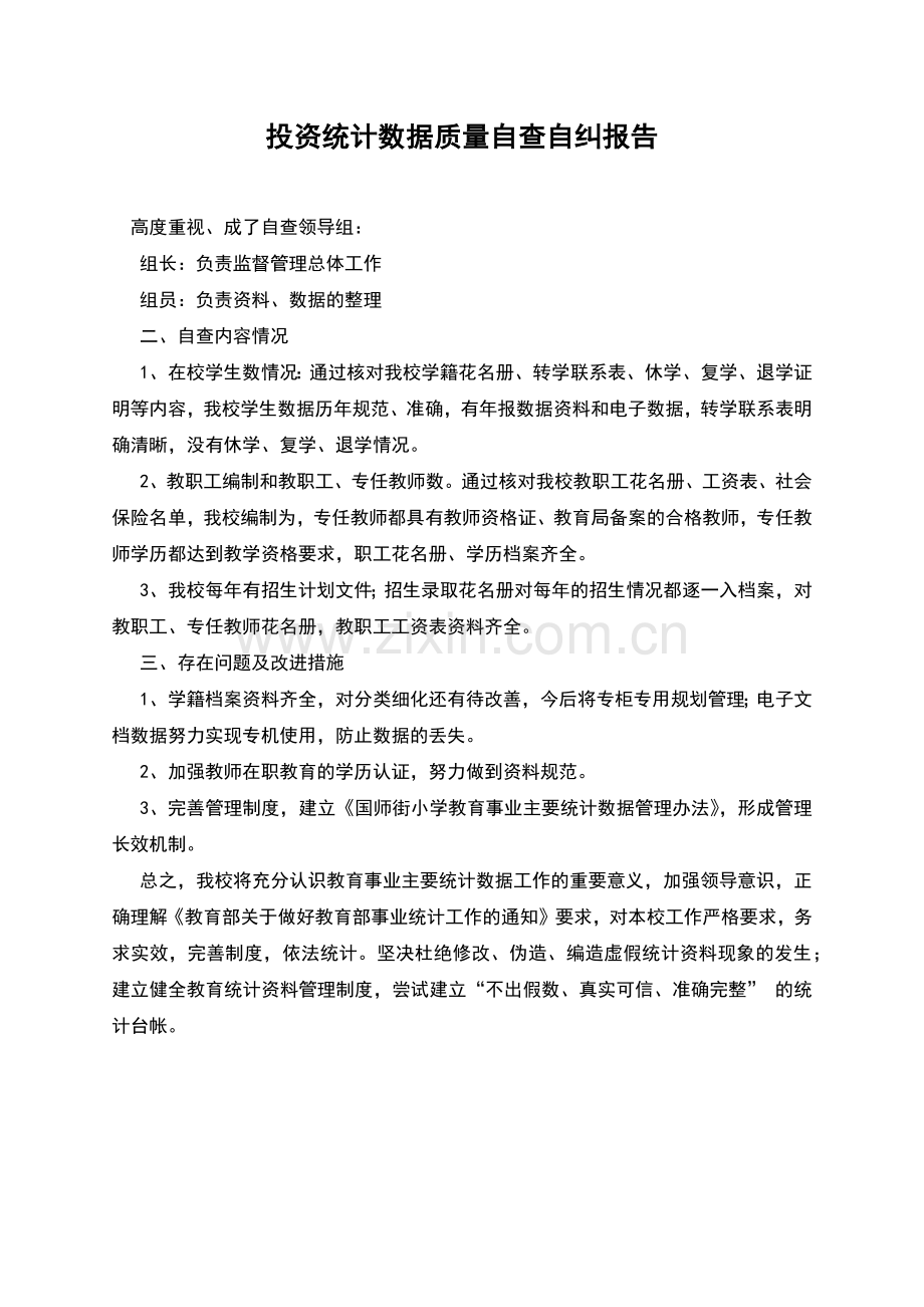 投资统计数据质量自查自纠报告.docx_第1页
