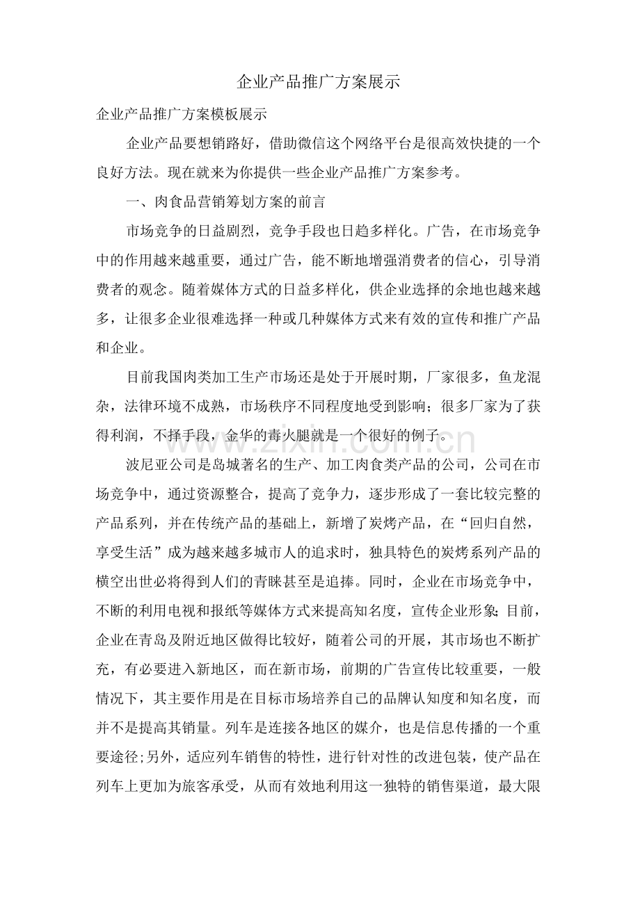 企业产品推广方案展示.docx_第1页