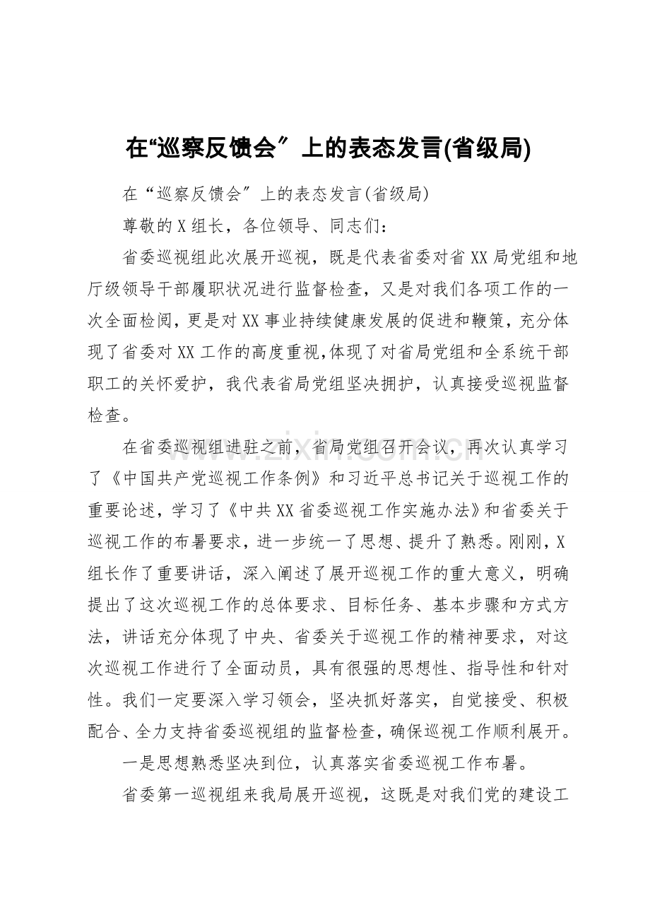 在“巡察反馈会”上的表态发言(省级局).doc_第1页