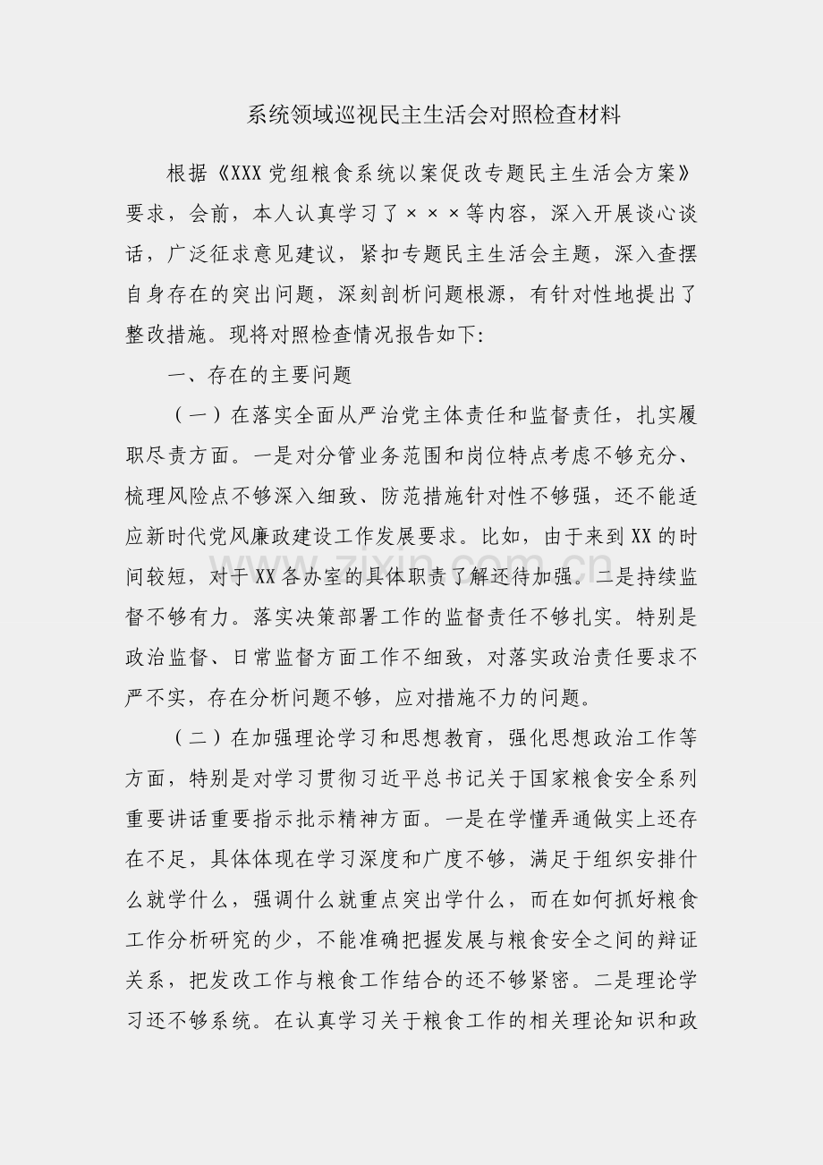 粮食系统领域巡视民主生活会对照检查材料.docx_第1页