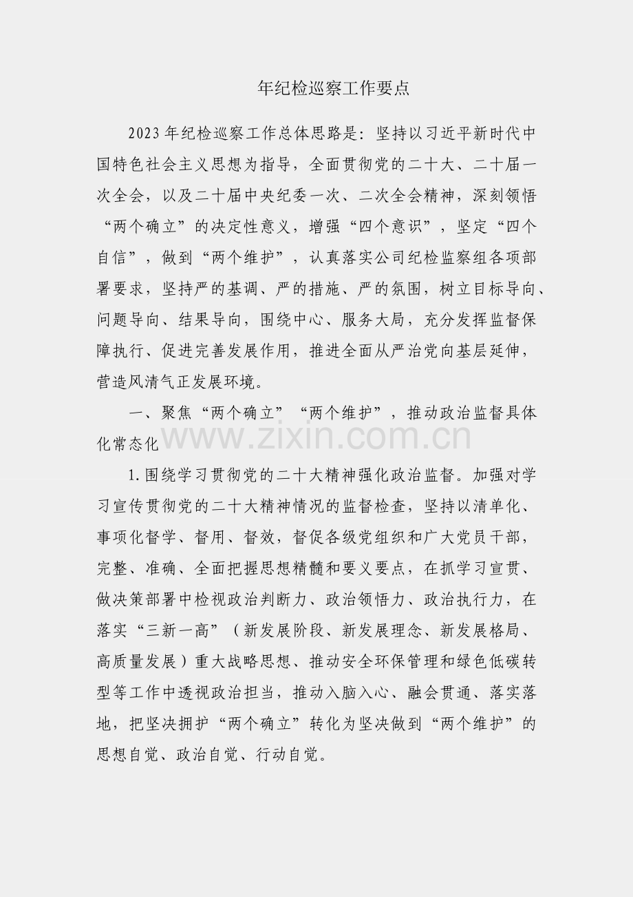 2023年纪检巡察工作要点.docx_第1页