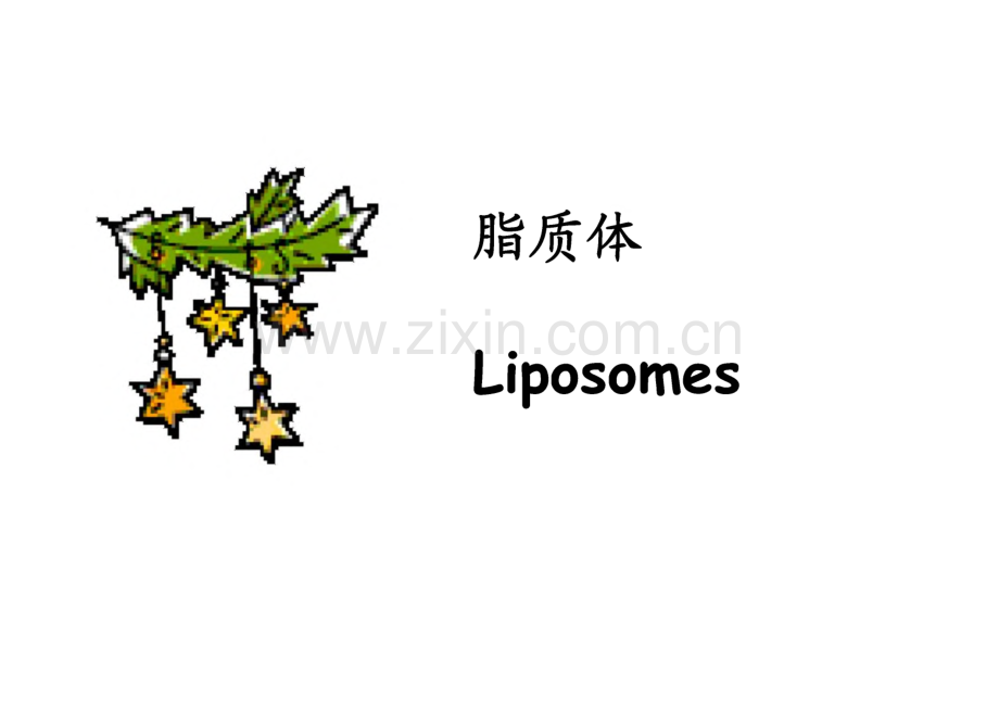脂质体讲义课件.pdf_第1页