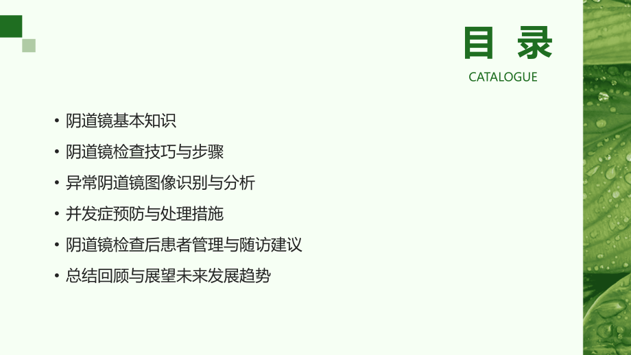 妇产科必学：2025年阴道镜教程.pptx_第2页