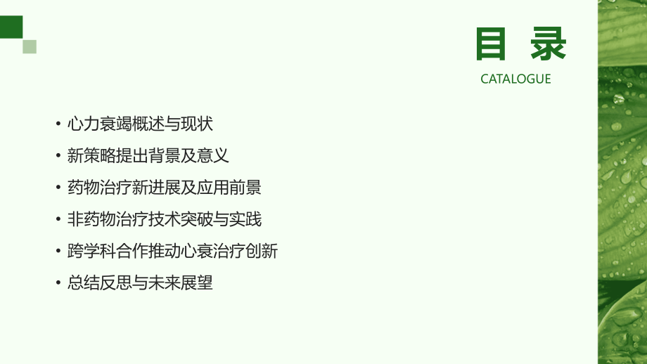 2025年心力衰竭治疗新策略讲座.pptx_第2页