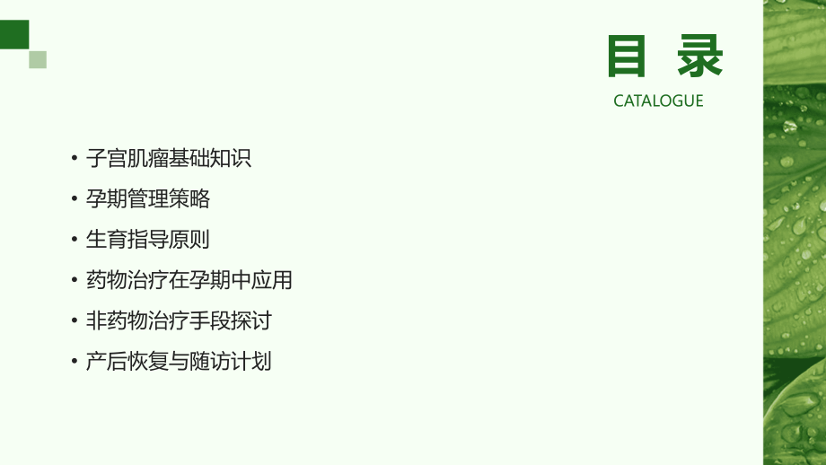 子宫肌瘤孕期管理及生育指导2025年.pptx_第2页