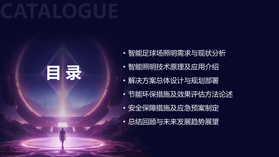 2025年智能足球场照明系统解决方案.pptx_第2页