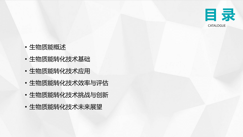 2025年新能源教案第3章：生物质能转化技术探讨.pptx_第2页