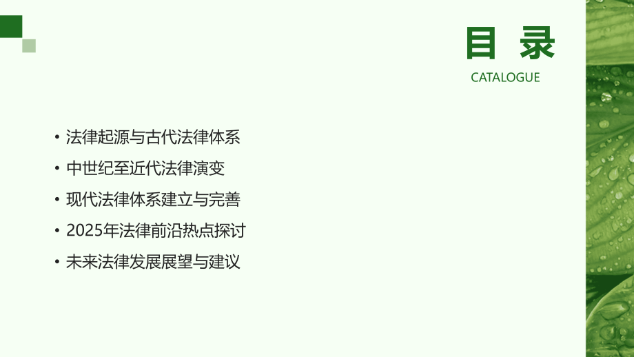 从古代到现代：2025年法律发展专业解读.pptx_第2页