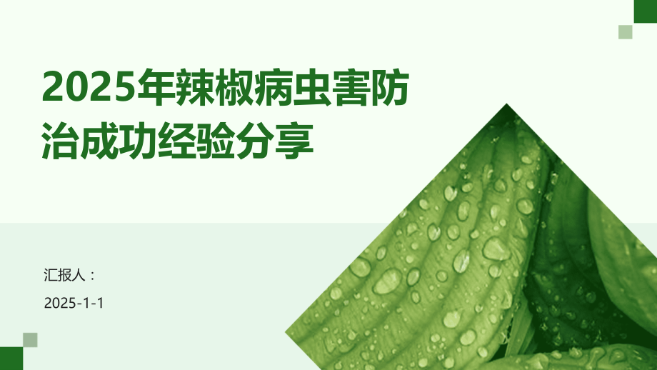 2025年辣椒病虫害防治成功经验.pptx_第1页