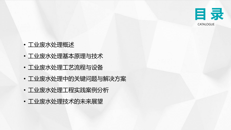 2025年版工业废水处理技术专业培训教材.pptx_第2页