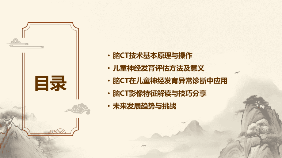 临床医学课件2025：脑CT在儿童神经发育评估中的作用.pptx_第2页