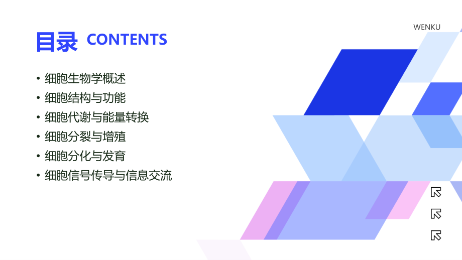 细胞生物学设计要点解析（2025年版） (1).pptx_第2页