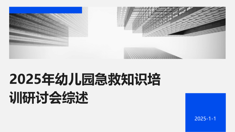 2025年幼儿园急救知识培训研讨会综述.pptx_第1页