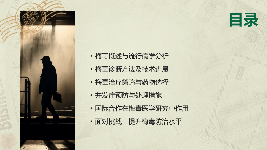 2025年梅毒医学研究与国际合作.pptx_第2页
