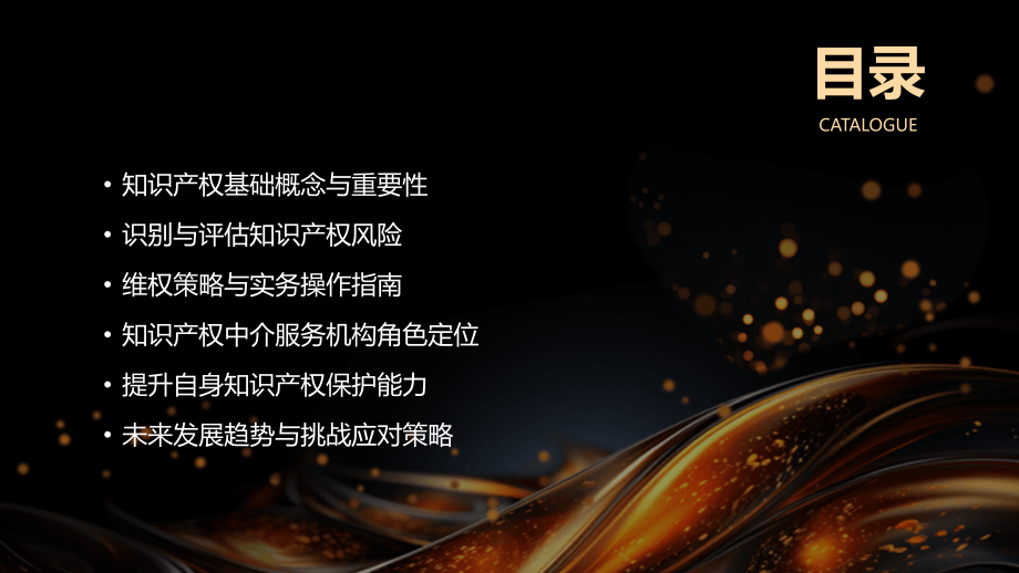 2025年知识产权侵权维权培训大纲.pptx_第2页