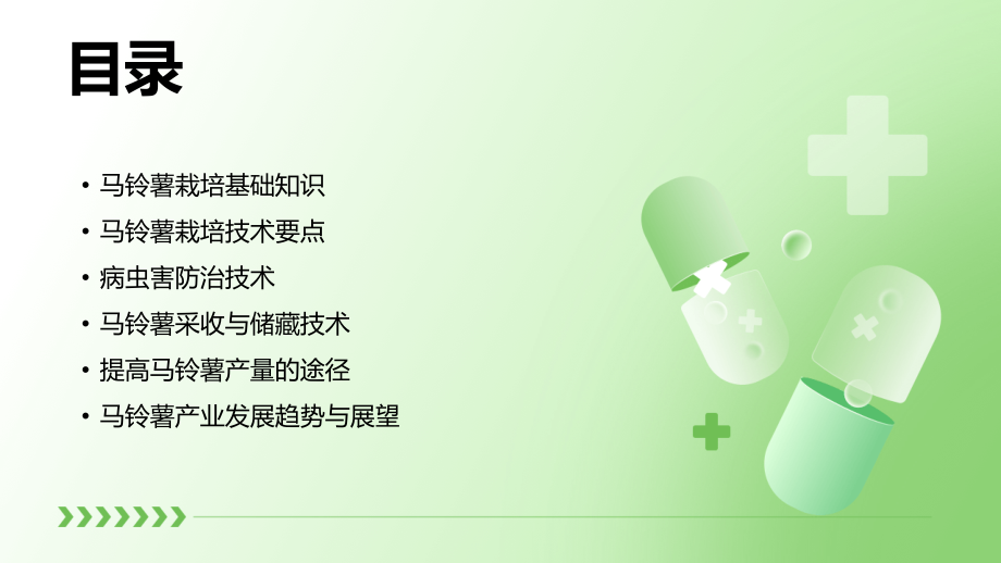 探索2025：马铃薯栽培技术教学计划.pptx_第2页