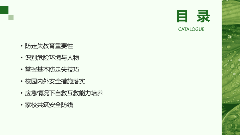 2025年中班防走失教案：守护儿童安全成长.pptx_第2页