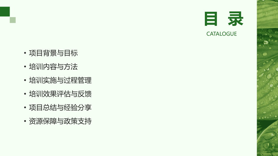 2025年幼儿园教师培训项目评估与管理.pptx_第2页