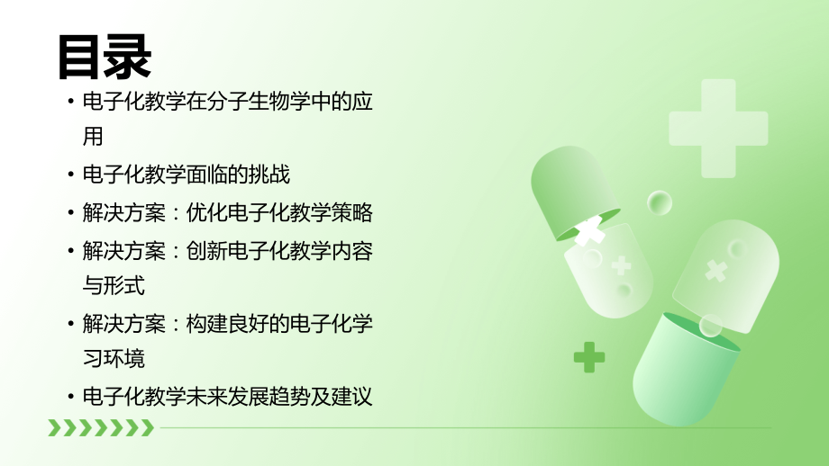 2025年分子生物学教案：电子化教学的挑战与解决方案.pptx_第2页
