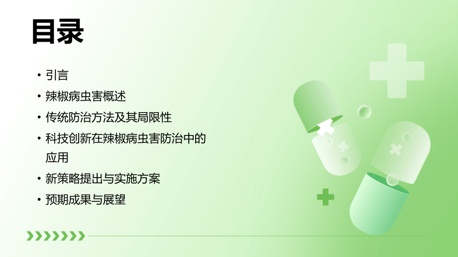 2025年农业科技创新：辣椒病虫害防治的新策略.pptx_第2页