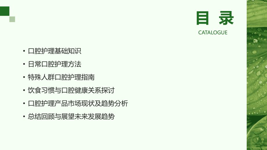 口腔护理课件模板：2025年专业定制版.pptx_第2页